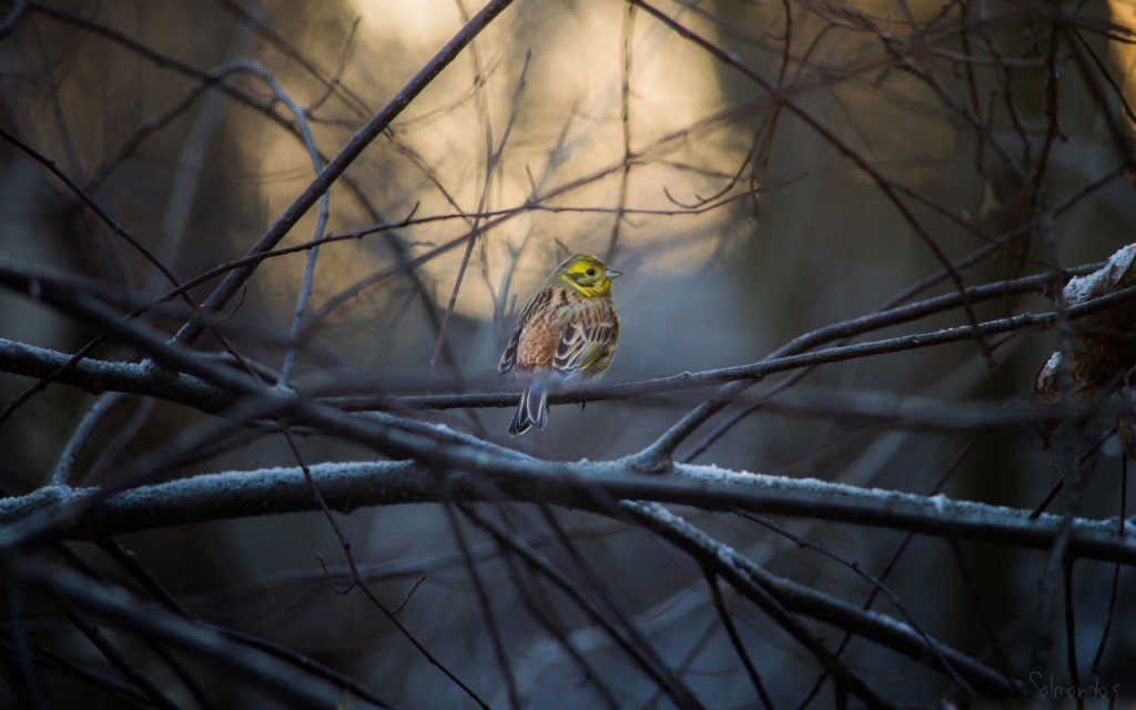 صور مذهلة 